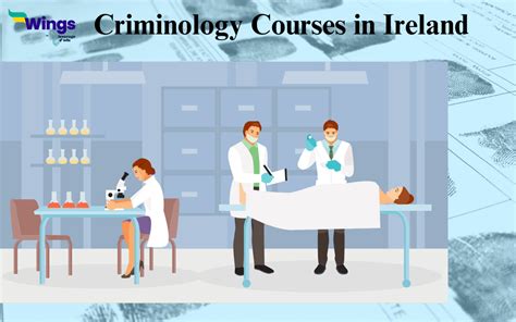 Study Criminology Courses In Ireland Online Offline Ug Pg