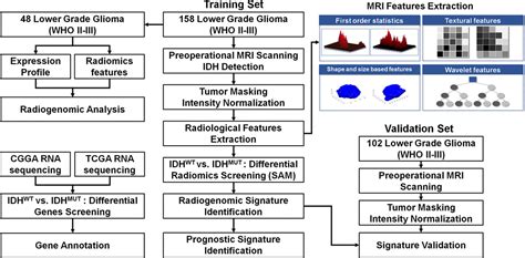 Idh Mutation Specific Radiomic Signature In Lower Grade Gliomas