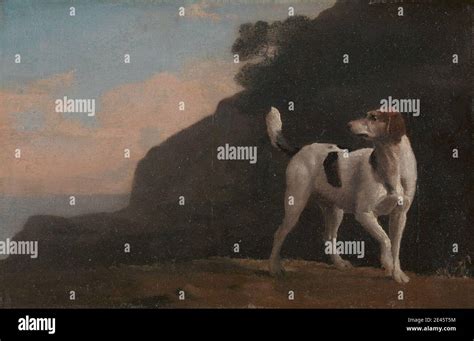 George Stubbs 1724â€ 1806 British Foxhound Ca 1760 Oil On Paper