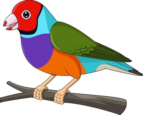 Pájaro pinzón de gouldian de dibujos animados en la rama de un árbol