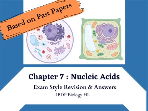 Ibdp Biology Hl Chapter Nucleic Acids Exam Revision Teaching