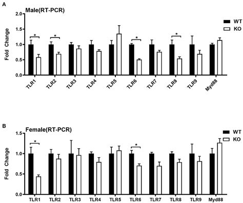 Frontiers Transcriptomic Analysis Reveals A Sex Dimorphic Influence