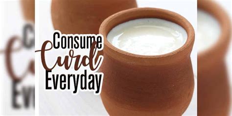 Start Having A Bowl Of Curd Everyday For These Amazing Benefits Start Having A Bowl Of Curd