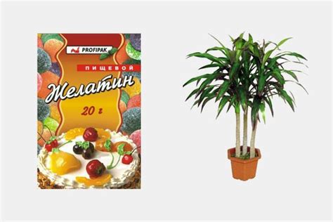 12 садовых удобрений, которые не обязательно покупать / Домоседы