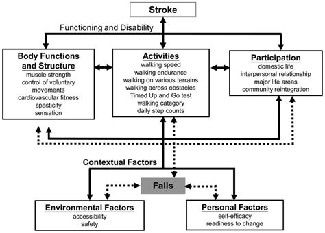 Gait Training Exercises For Stroke Patients – Online degrees