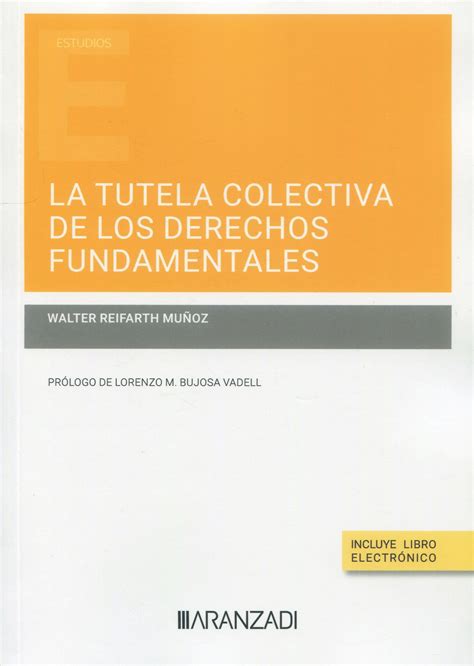 Tutela Colectiva De Los Derechos Fundamentales 9788413915999 W Reifarth