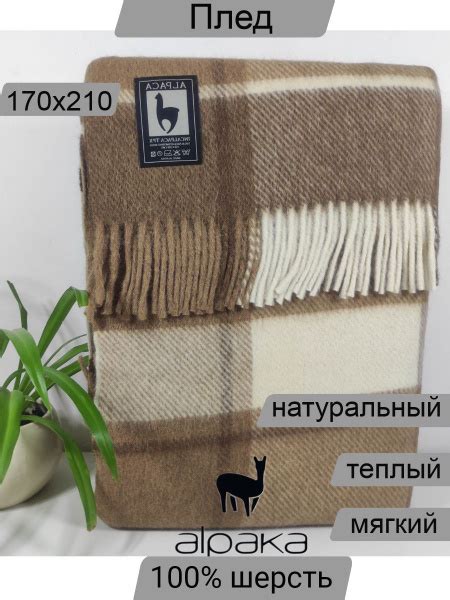 Плед 210х170 см, Альпака, Мериносовая шерсть - купить в интернет ...
