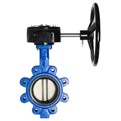 Lug Butterfly Valve Ductile Iron Psi Stainless Steel Disc