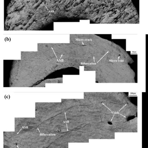 Typical Microstructures Of Titanium Alloys A Widmanst Tten B