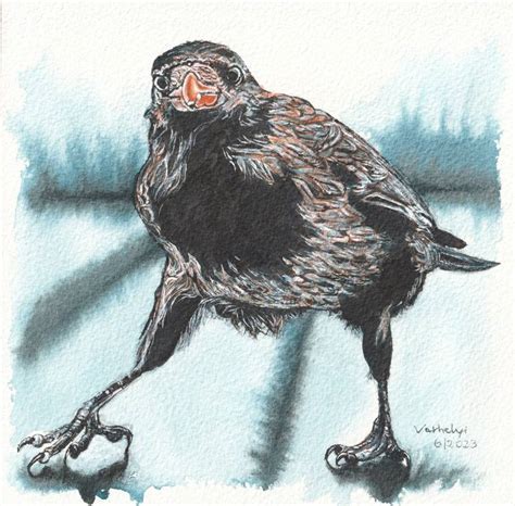 Raven 15 Crow Painting by Lilla Varhelyi | Saatchi Art