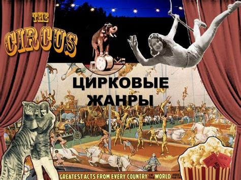 Цирковые жанры - презентация онлайн