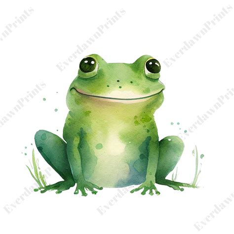 15 Cute Frog Clipart, High Quality Transparent PNG, Watercolor, Frog ...