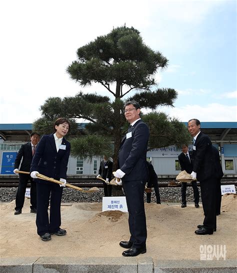 포토 동해북부선 기념 식수하는 김현미·김연철 장관