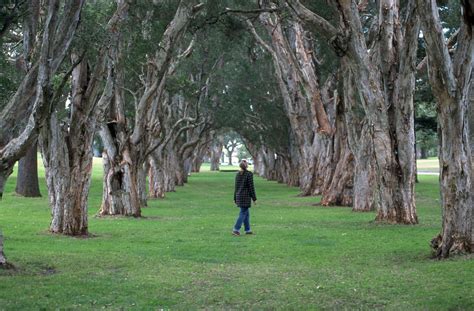 Centennial Park, Sydney | Parks