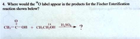 Solved Where Would The Label Appear In The Products For The Fischer