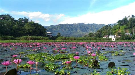 Visit Lake Sebu: 2024 Travel Guide for Lake Sebu, Soccsksargen | Expedia