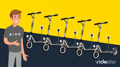 The Ins and Outs of Being a Bird Scooter Charger | Ridester