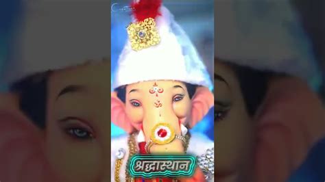 प्रेम म्हणजे बाप्पा 🌺🥰😍 Bappa Ganpati Ganesh Shorts Youtube