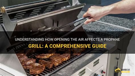 Understanding How Opening The Air Affects A Propane Grill A Comprehensive Guide Shungrill