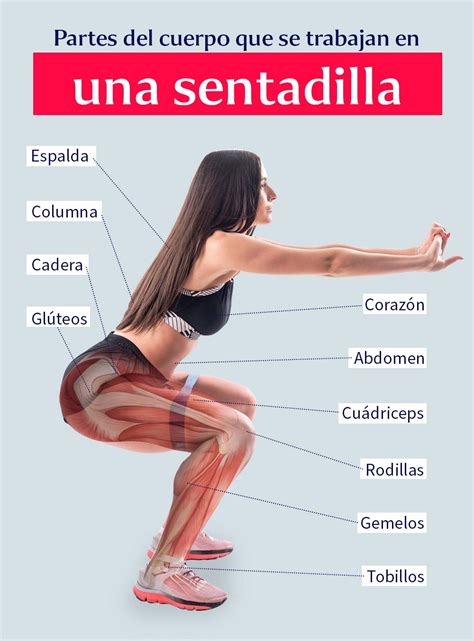 Beneficios De La Sentadilla Recomendaciones Y Rutinas Images The Best