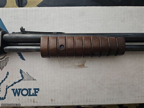 Imi Timber Wolf Mag W Box