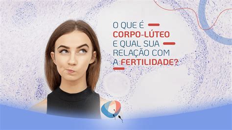 O Que Corpo L Teo E Qual Sua Rela O A Fertilidade Dr Augusto