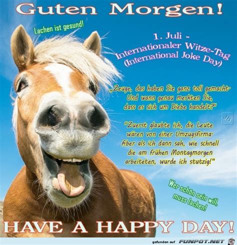 Lustige Guten Morgen Pferde Bilder / Pferde Gb Pics Gb Bilder