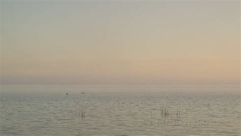 Ipernity Daybreak Lake Albert By Tiabunna