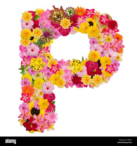 P Letter Images