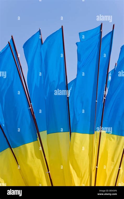 Independence Day Ukrainian National Flags Flying In Maidan