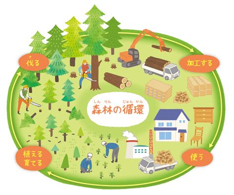 Sdgs取組事例 木を育て，使い，森林の循環をつくる 15陸の豊かさも守ろう Edutownsdgs