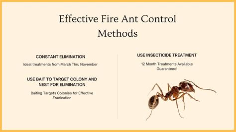 Fire Ant Control Methods That Work - FullScope Pest Control