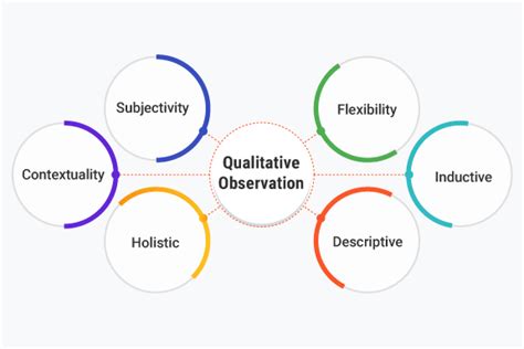 What Is Qualitative Observation Definition Types Examples And Best