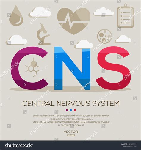 Cns Mean Medical Acronyms Letters Icons Stock Vector Royalty Free