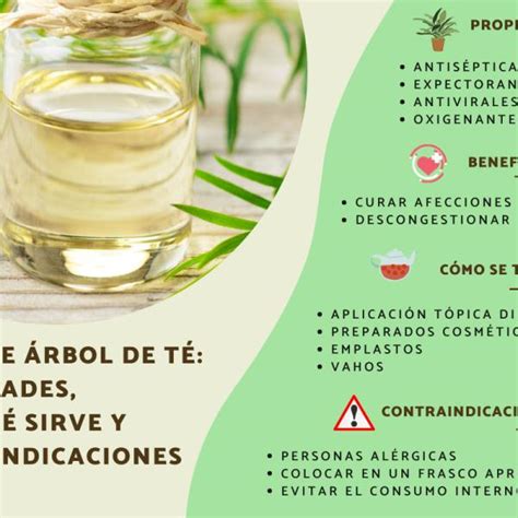 Aceite esencial arbol de te para que sirve Incluye VÍDEO