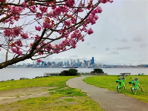 See what's moving in Seattle this week: April 16 - 21, 2019 - SDOT Blog