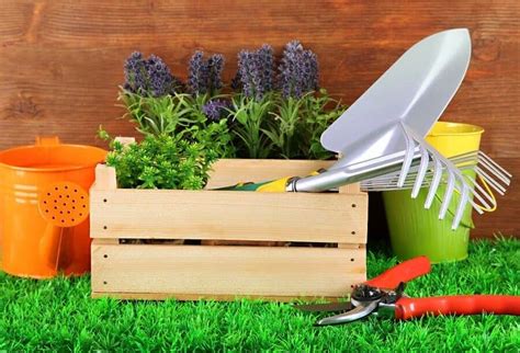 Las Herramientas Esenciales Para Cuidar Tus Plantas De Forma Eficiente