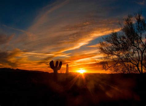 Desert Landscapes Shindig 2017 Photo Show