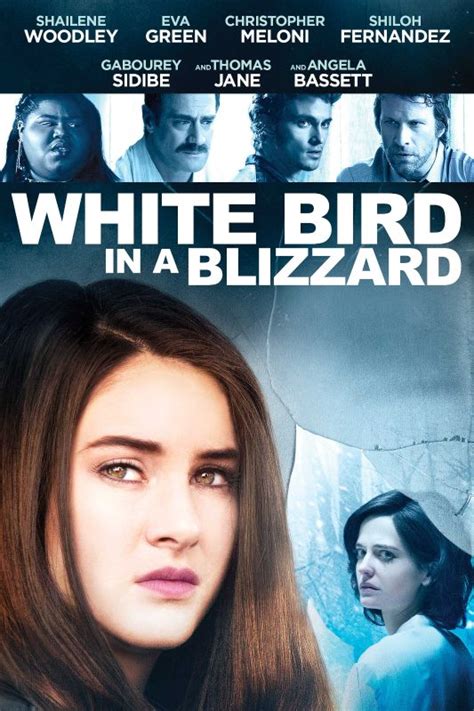 White Bird in a Blizzard (2014) - Gregg Araki | Synopsis, Characteristics, Moods, Themes and ...