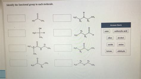 Solved Identify The Functional Group In Each Molecule Chegg