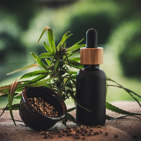 Wirkung Anwendung und Nutzen von CBD Öl und CBD Kosmetik LOOX