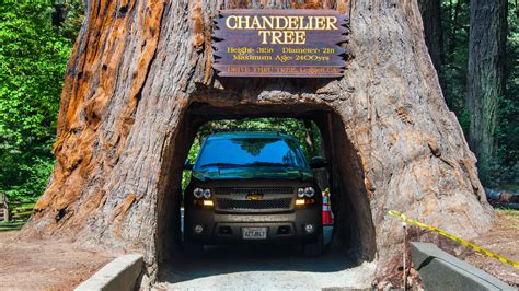 El clima de Parque nacional Redwood y la mejor época para visitar