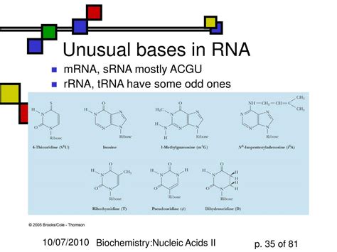 PPT - Nucleic Acids: DNA, RNA and chemistry PowerPoint Presentation, free download - ID:4446954