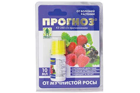 Болезни винограда: как проедотвратить, распознать и вылечить