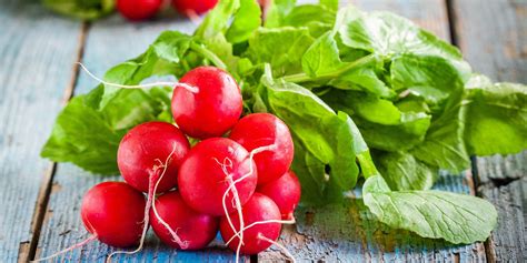 Radis rose nos idées recettes pour les cuisiner Marie Claire