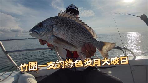 淡水一支釣 竹圍海域一支釣炎月 游動丸遇見大白格 綠色鬚爆咬 一支釣 沙格 黑牛 黑鯛 黃鰭鯛 正達鋁船炎月 游動丸