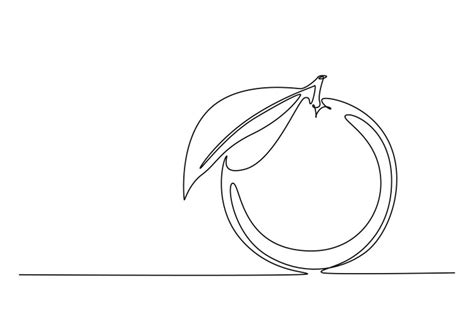 Continuous One Line Drawing Of Whole Healthy Vector Image