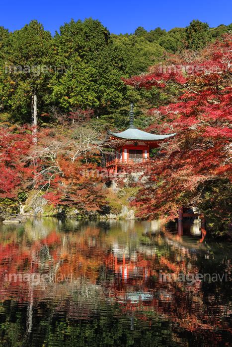 【京都府 紅葉した醍醐寺弁天堂】の画像素材70604124 写真素材ならイメージナビ