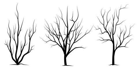 Black Branch Tree Or Naked Trees Silhouettes Set Hand Drawn Isolated Illustrations 23633724