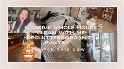 MASSIVE WHOLE HOUSE RESET DECLUTTER ORGANIZE PANTRY WITH ME 2023